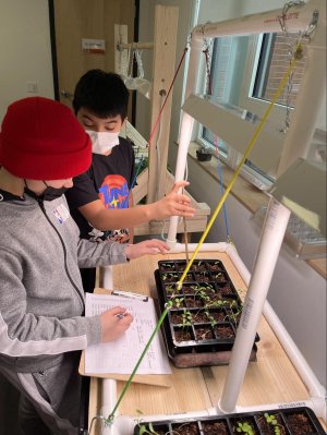 Two boys with seedlings